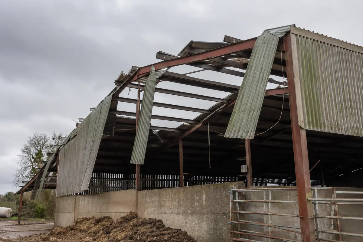 Farm shed with roof sheeting lifted and peeled back after a storm, purlins exposed
