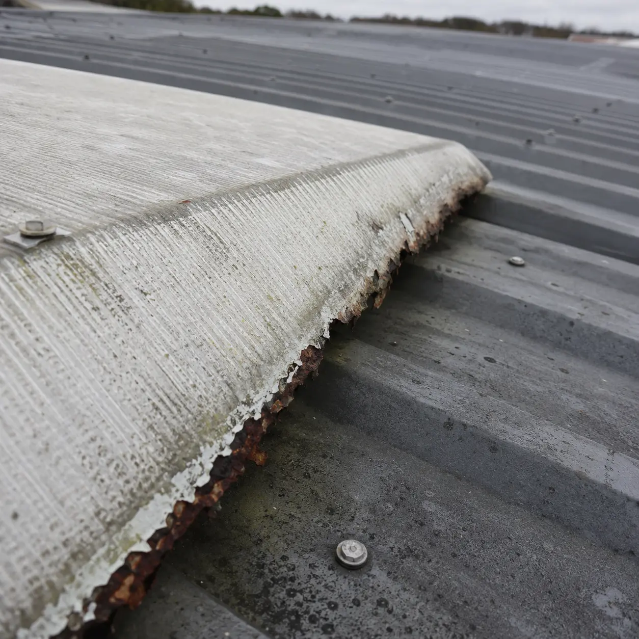 A flat commercial roof membrane with edge trim and outlets