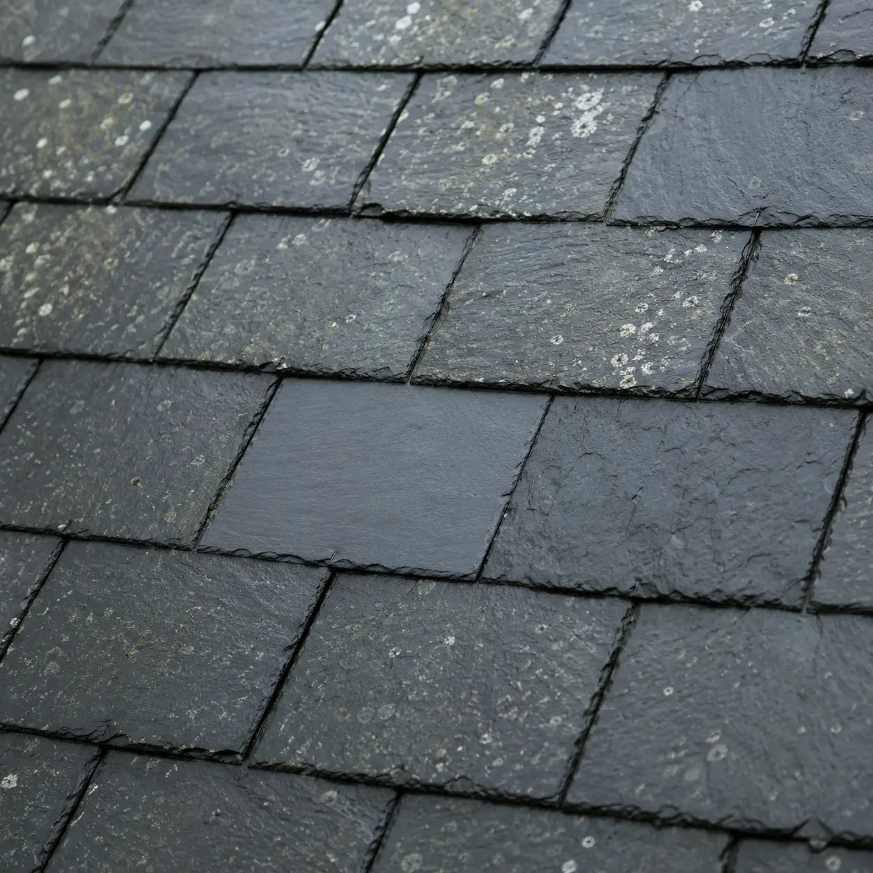 A damaged slate and exposed batten needing repair